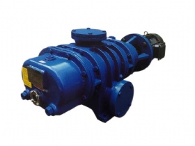 Roots vacuum pump