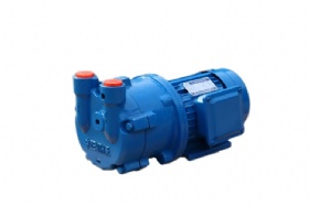 Single-stage water ring vacuum pump