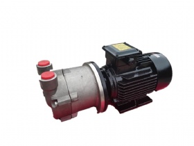 Single stage water ring vacuum pump